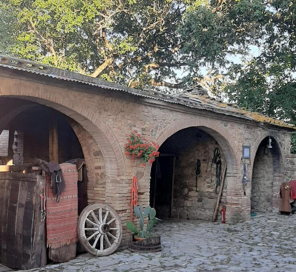 B&B Podere Cottimellino - Montalcino - Val D'Orcia Exterior foto