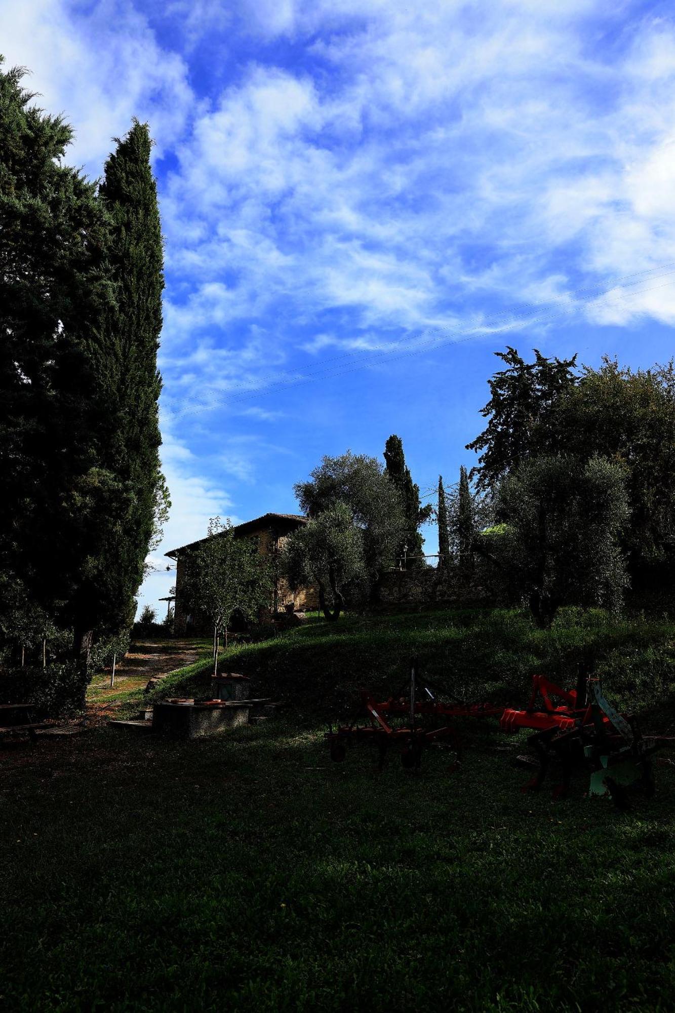 B&B Podere Cottimellino - Montalcino - Val D'Orcia Exterior foto