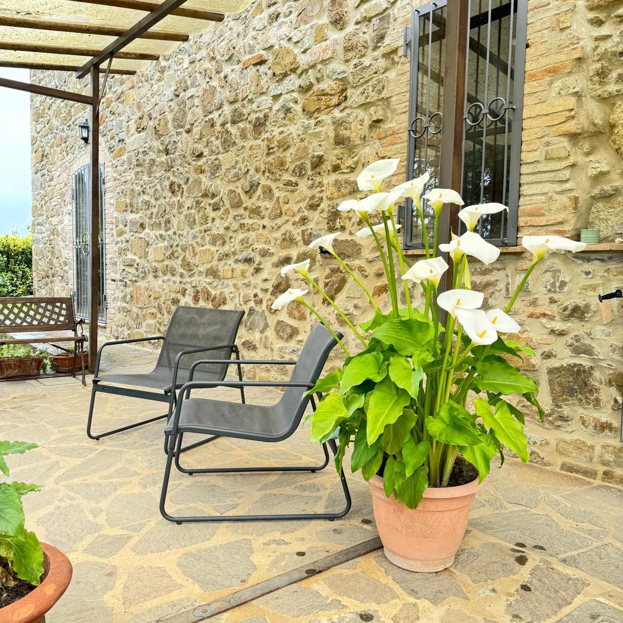 B&B Podere Cottimellino - Montalcino - Val D'Orcia Exterior foto