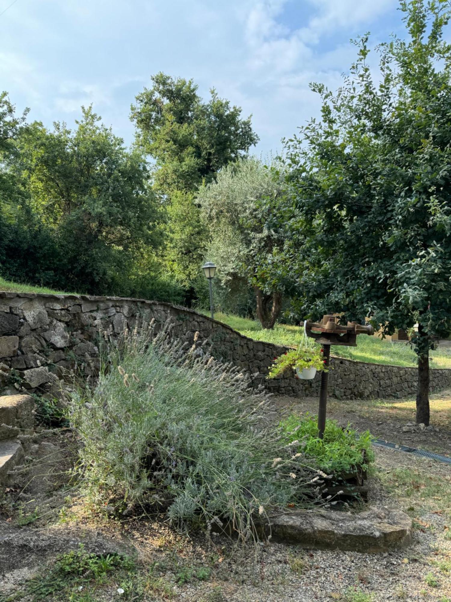B&B Podere Cottimellino - Montalcino - Val D'Orcia Exterior foto