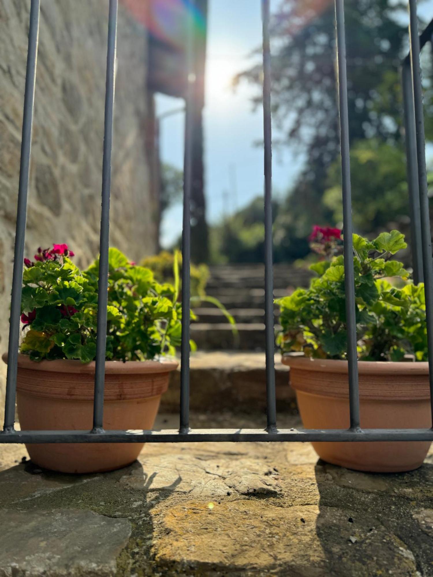 B&B Podere Cottimellino - Montalcino - Val D'Orcia Exterior foto